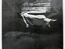 BILL EVANS UNDERCURRENT UNITED ARTISTS LAX3112 JAPAN VINYL LP