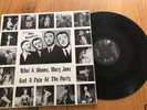 THE BEATLES RARE VINYL- “ WHAT A SHAME MARY JANE HAD A PAIN AT THE PARTY”-R8028