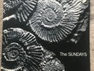 The Sundays – Reading, Writing And Arithmetic - Vinyl LP Picture Disc album 1990