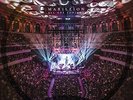 All One Tonight (Live at the Royal Albert Hall) [Vinyl LP], Marillion