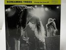 Screaming Trees 'Change Has Come' 1990 EU Glitterhouse EP EX/EX