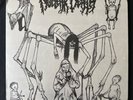 Nuclear Death – Bride Of Insect - Vinyl, LP, Album - Wild Rags Records – WRR-017