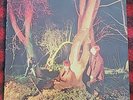 ECHO AND THE BUNNYMEN: Crocodiles US Sire SRK 6096 New Wave Rock Vinyl LP