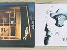 IDLES • Crawler Vinyl w Fully SIGNED Print
