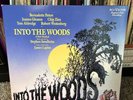 INTO THE WOODS sondheim, bernadette peters, joanna gleason, chip zien musical