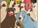 THE FORMAT – DOG PROBLEMS - VMP EXCLUSIVE KELLY GREEN 178/500 VINYL 2xLP NEW A8
