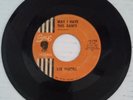 SENORS: May I Have This dance / Searching For Olive Oil - 45 Record