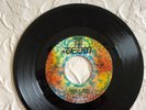THE SHADOWS OF KNIGHT , rock GARAGE PUNK   60'S ILLINOIS