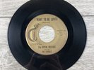 The Royal Jesters I Want To Be Loved / I Never Will Forget Cobra 7777 45 RPM 7”