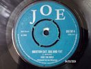 DICE THE BOSS - BRIXTON CAT, BIG AND FAT  (ROOTS REGGAE)  45