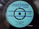 THE TERMITES - DO IT RIGHT NOW  (ROCKSTEADY)  45
