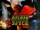 Richie Spice - Spice In Your Life (LP, Album) (Very Good Plus (VG+)) - 313170943