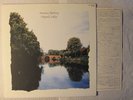 Virginia Astley - Promise Nothing Japanese orig' Columbia LP 1983