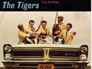 GREAT PROMO, PIC SLEEVE & 45 - THE TIGERS - GeeTO/The Prowl - 1965 HOT ROD -HEAR