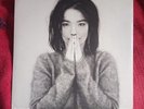 Original 1991 Bjork Debut Album UK (with song booklet) TPLP32