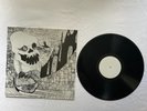 Rudimentary Peni –Catastrophe - Live 1982 LP peace punk Nick Blinko