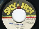 Errol Holt: Red Eye on JA Sky High