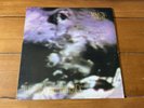 Ministry The Land of Rape and Honey LP Album Vinyl 1988 Original US Pressing VG