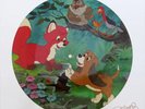 PICTURE DISC Walt Disney The Fox And The Hound Disneyland