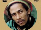 Bob Marley Vinylart (Vinyl) 12