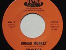Garage Psych SF Bay FRANTICS Human Monkey / Someday NM ACTION Moby Grape 45 Rare