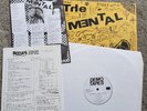 The Mental Extended Play Lp Stupid Humans Subhumans punk crass flux icons