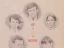 SUMMER SOUNDS UP DOWN LAUREL 331098 TEENBEAT GARAGE PSYCH GRAIL IN SHRINK