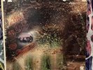 Pink Floyd - A Saucerful Of Secrets - Tower - LP - Rock