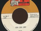 Rare Latin Soul / Garage 45- Rick & The Romans - Cry Cry Cry - Ivan # IV-100