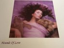 Hounds of Love by Kate Bush (Vinyl, 1985) KAB1 LP