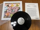 LIQUID SOUND COMPANY -exploring the pyschedelic  1ST PRESS LP 1996 stoner doom