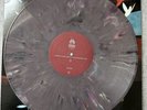 Hot Water Music No Division Vinyl mixed-vinyl W/ Purple Cast 2nd Press