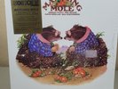 MATCHING MOLE - MATCHING MOLE (YELLOW ORANGE) (RSD 2024)w/mnr slv dmg