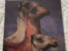 The Roches- We Three Kings - LP Album - MCA Records -MCA 10020-1990