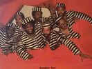 Vinyle - FAT LARRY'S BAND - Breakin' Out (ALBUM,LP)