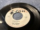 Gene Summers & His Rebels  Nervous/Gotta Lotta That Texas Rockabilly 1958 Jan