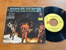 THE ROLLING STONES Wild Horses 1971 MEXICO 33rpm 7