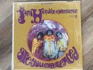 Jimi Hendrix Experience • Are You Experienced • RS6261 Original