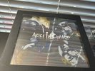 Alice In Chains Facelift 30th Anniversary 2021 Vinyl Box Set