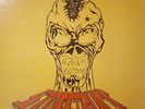 STOSSTRUPP -wie lang' noch- Vinyl LP orig. RRR 1990 isd Oi  Skin