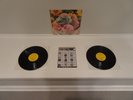 VOLCANO SUNS THING OF BEAUTY LP RARE ORIG 1989 1ST PRESS w/ SST CATALOG  SHELLAC