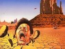 Tygers of Pan Tang Burning in the Shade (Transparent (Vinyl)