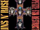 Guns N' Roses - Appetite for Destruction - Heavy Metal - Vinyl