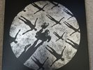 Muse Absolution XX Aniversary Vinyl Box Set