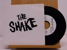The Shake Michigan power pop 45 I Got My Eye On You bw CTA on Whats Left Records