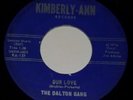The Dalton Gang Our Love Stubborn Fellow 45 RPM Kimberly-Ann Records garage rock