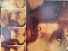 Van Morrison Moondance LP=EX+ Cover=EX, Seven Arts Green Label, 1970 First Press