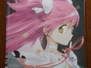 Puella Magi Madoka Magica Ultimate Best VINYL Record