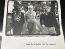 Beastie Boys Anthology: The Sounds of Science by Beastie Boys (Vinyl, 4xLP)