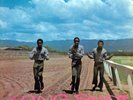 THE PIONEERS LONG SHOT NEW LP